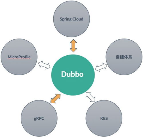 Dubbo 連接異構(gòu)微服務(wù)體系的最佳服務(wù)開(kāi)發(fā)框架