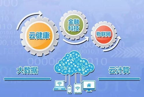 2018回顧 東華云數(shù)據(jù)深耕廣西市場(chǎng)，以軟件開(kāi)發(fā)與技術(shù)助力本土數(shù)字經(jīng)濟(jì)騰飛